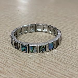 Premier designs paua shell bracelet